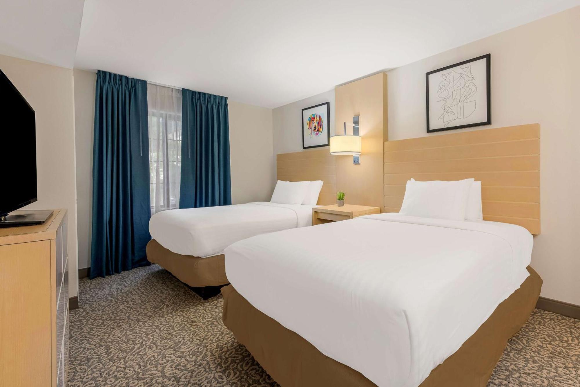 Sonesta Es Suites Charlotte Arrowood Exterior photo